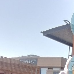 �����, ������, 54 ����