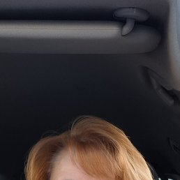 ���� �����, �����-���������, 49 ��� - ��������� 14 ������� 2026