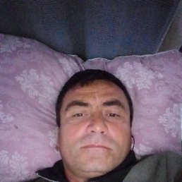 , 38, 