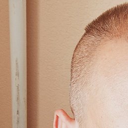 ������, ��������, 37 ���