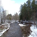 ���� �������, �����������, 53 ���� - ��������� 12 ������ 2025 � ������ ���� ����������