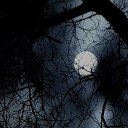 ���� �������, ������, 37 ��� - ��������� 12 ������ 2024 � ������ ���� ����������