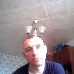 ����, �����������, 44 ����