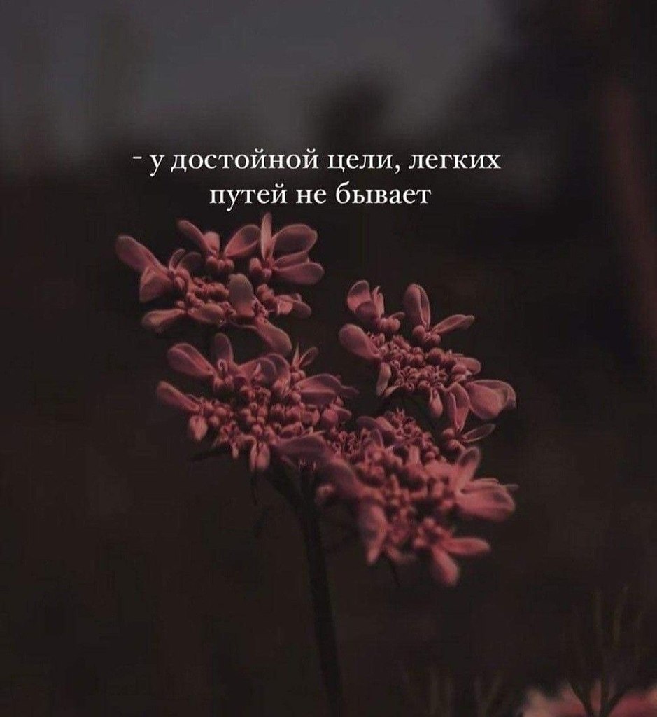   - 11  2025  18:01