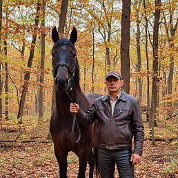 �����, ������, 50 ���