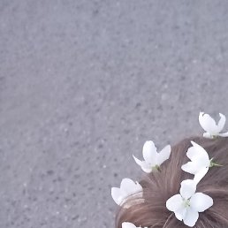 ����, �������, 18 ���