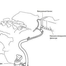 Genius, ������, 30 ���