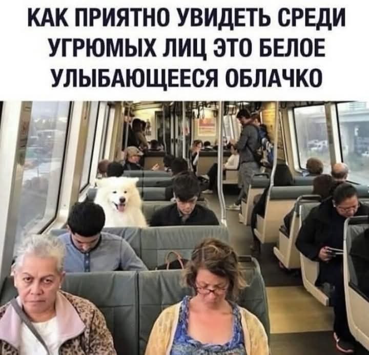   - 16  2025  13:34