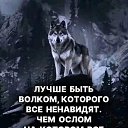 ���� ������� ������, ������, 68 ��� - ��������� 3 ������ 2025 � ������ ������