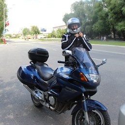 ������, ������, 50 ���