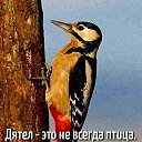 ���� �����, ������ - ��������� 26 ������ 2026 � ������ ������ ��������