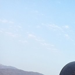 ������� ���������, �������, 31 ���