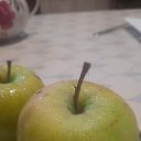 ���� �����, ������, 51 ��� - ��������� 22 ������� 2023 � ������ ���� ����������