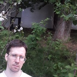 ������, ������, 43 ����