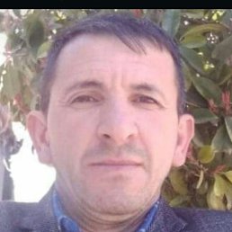 �����, �������, 51 ���