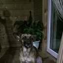 ���� ����, ������� - ��������� 28 ������� 2024 � ������ �)�