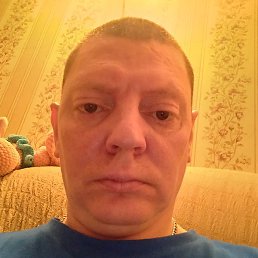 ������, �����������, 41 ���