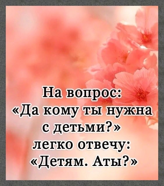 ☆ ☆ - 29  2024  16:43