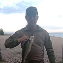 ���� �������, �����-���������, 41 ��� - ��������� 22 ���� 2024 � ������ ���� ����������