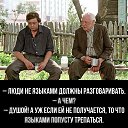 ���� �����, ����������, 55 ��� - ��������� 2 ������ 2026 � ������ ���� ����������
