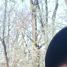 ����, ������������, 38 ���