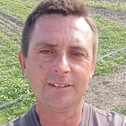 ������� ������, ������, 38 ���