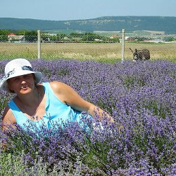 �����, �������-���������, 50 ���