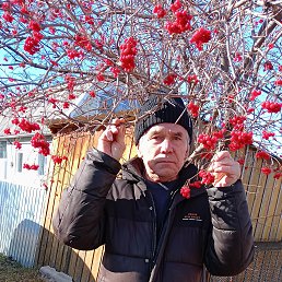 �����, 54 ����, ����