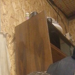 ��������, 49 ���, ������