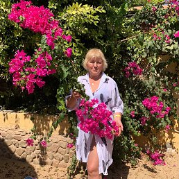 ���� ����, �����, 58 ��� - ��������� 11 ������� 2026