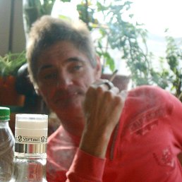 ��������, 41 ���, ����