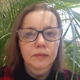 ����, �����-���������, 50 ���