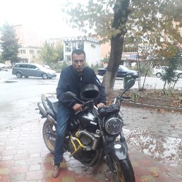 , 57, 