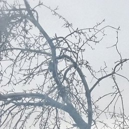 ������, ������, 64 ����