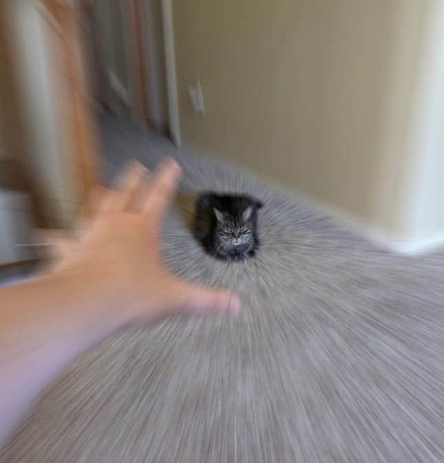  ,    ,   : - 2