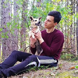 ������, �������, 29 ���