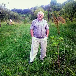 Samwel, ������, 72 ����