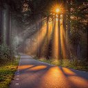 ���� �������, �������, 50 ��� - ��������� 7 ��� 2024 � ������ ���� ����������