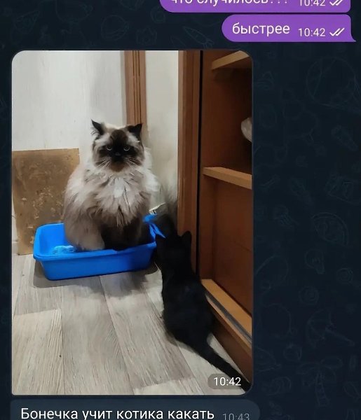  ,    ! - 2