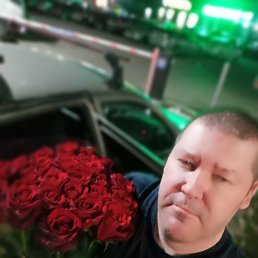 �������, 41 ���, ������