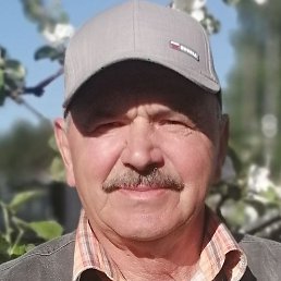 �������, �����-���������, 71 ���