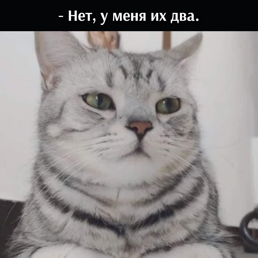 ��� ���� � ����� �� �� - 16 ������� 2025 � 17:03 - 4