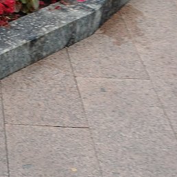 �������, ������, 51 ���