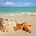 ���� ����, ��� - ��������� 23 ������� 2025