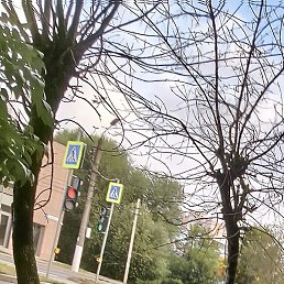 ����, �����, 21 ���