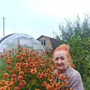 ���� �������, ������, 66 ��� - ��������� 12 ������� 2025 � ������ ������ ��������