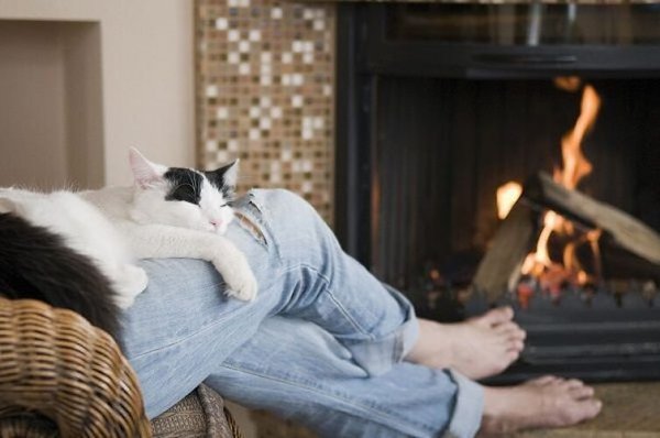 Коты ложатся туда, где больно, Тихонько греют бока и души. Коты не люди - но жаль невольно... Коты ...