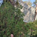  , , 58  -  15  2025     2025