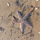 ���� �����, ����������� - ��������� 27 ������ 2026 � ������ ���� ����������