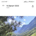 ���� ������, �����������, 43 ���� - ��������� 15 ������ 2026 � ������ ���� ����������